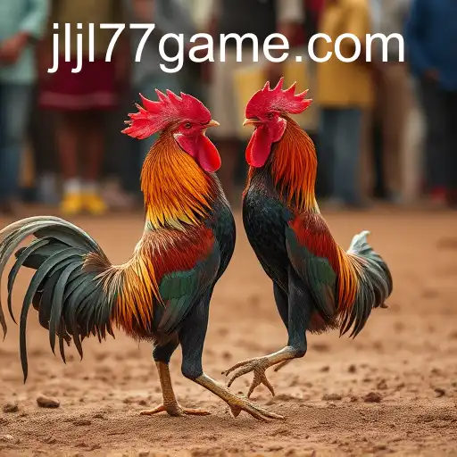 The Controversial World of Cockfighting and the Role of JLJL77.COM